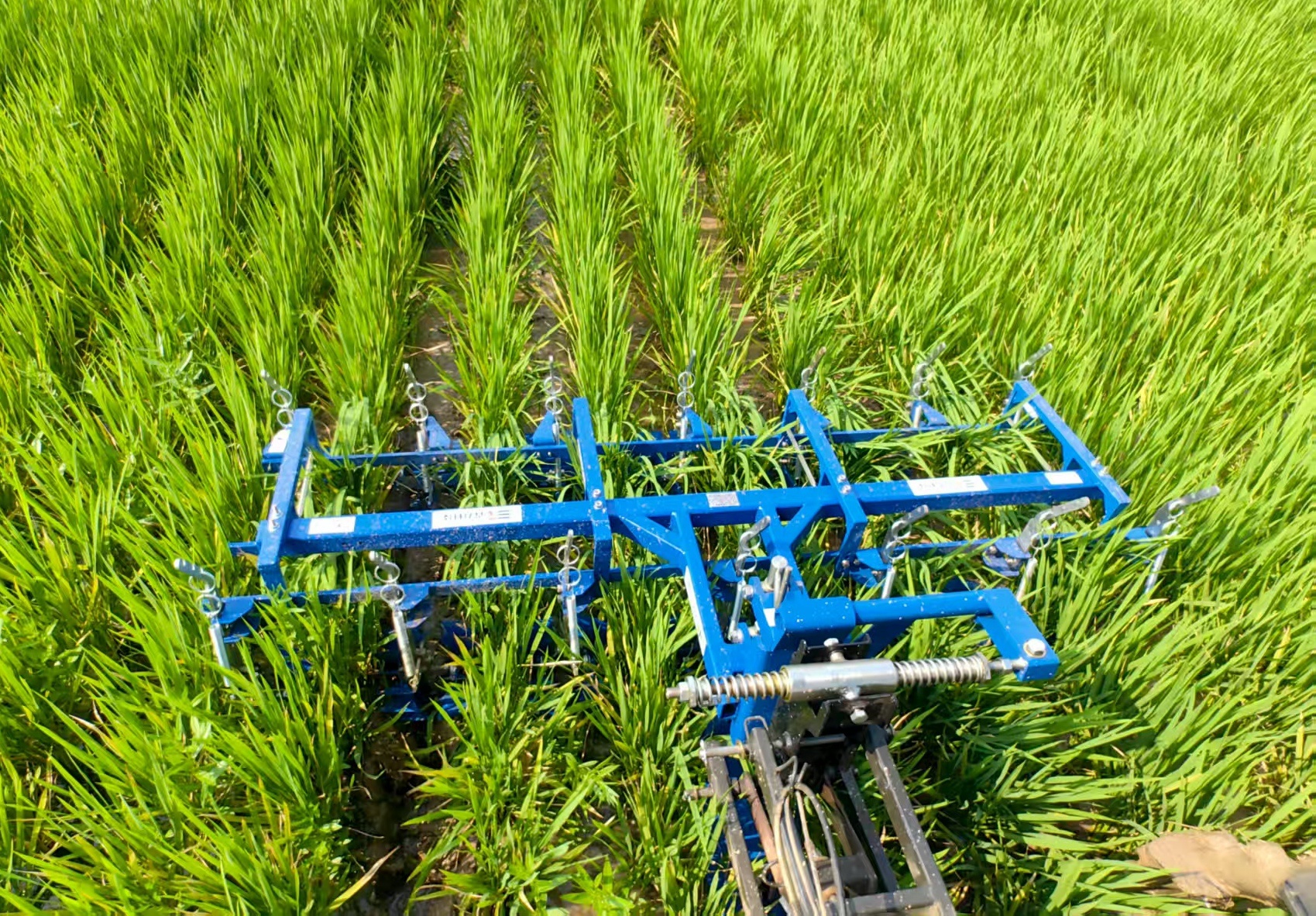 省力科技研发的水田除草机在作业