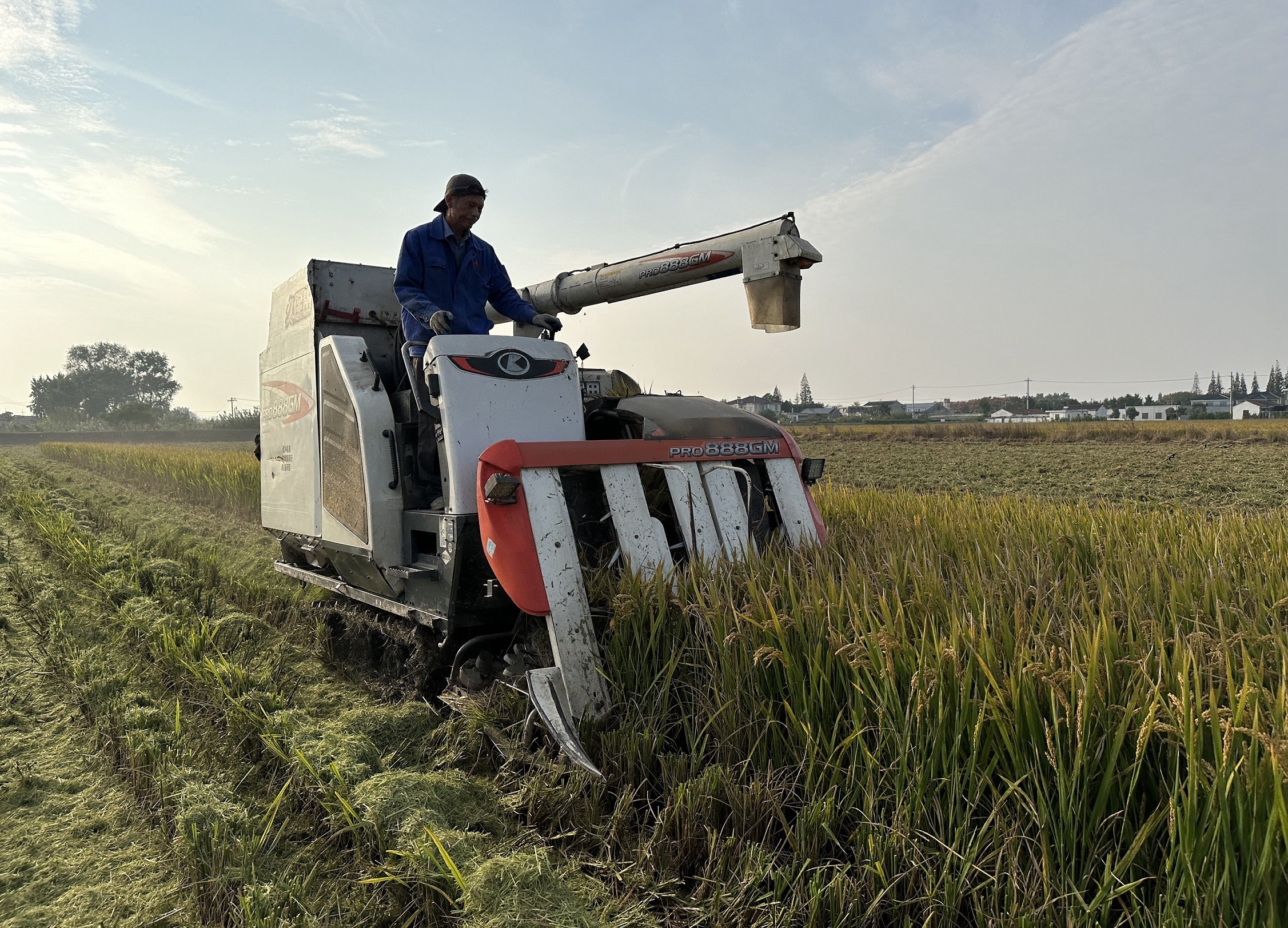 农机共享合作社帮农户收割（资料图）