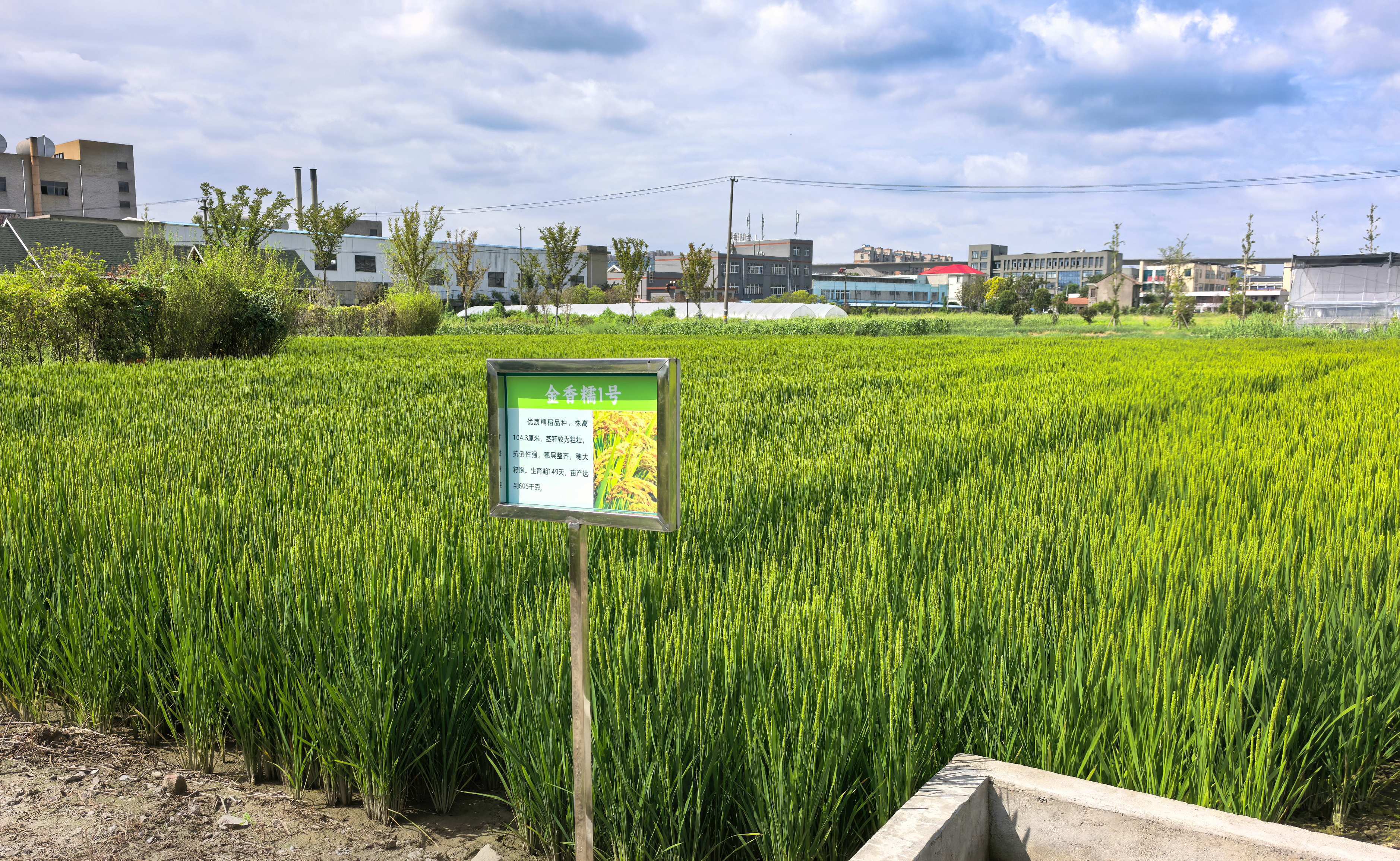 卢铖卉 陈静 吕雪琦 摄
