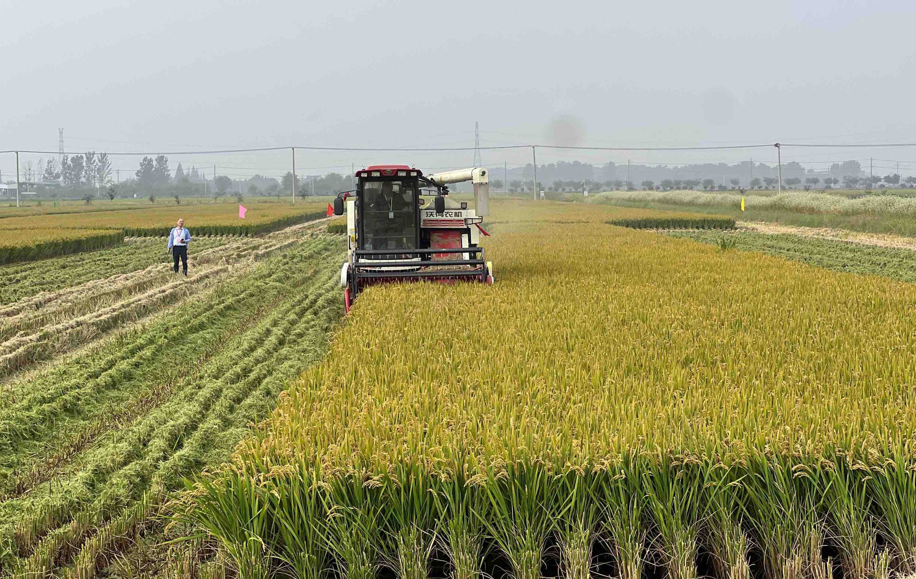 王颖 卢兆欣 摄