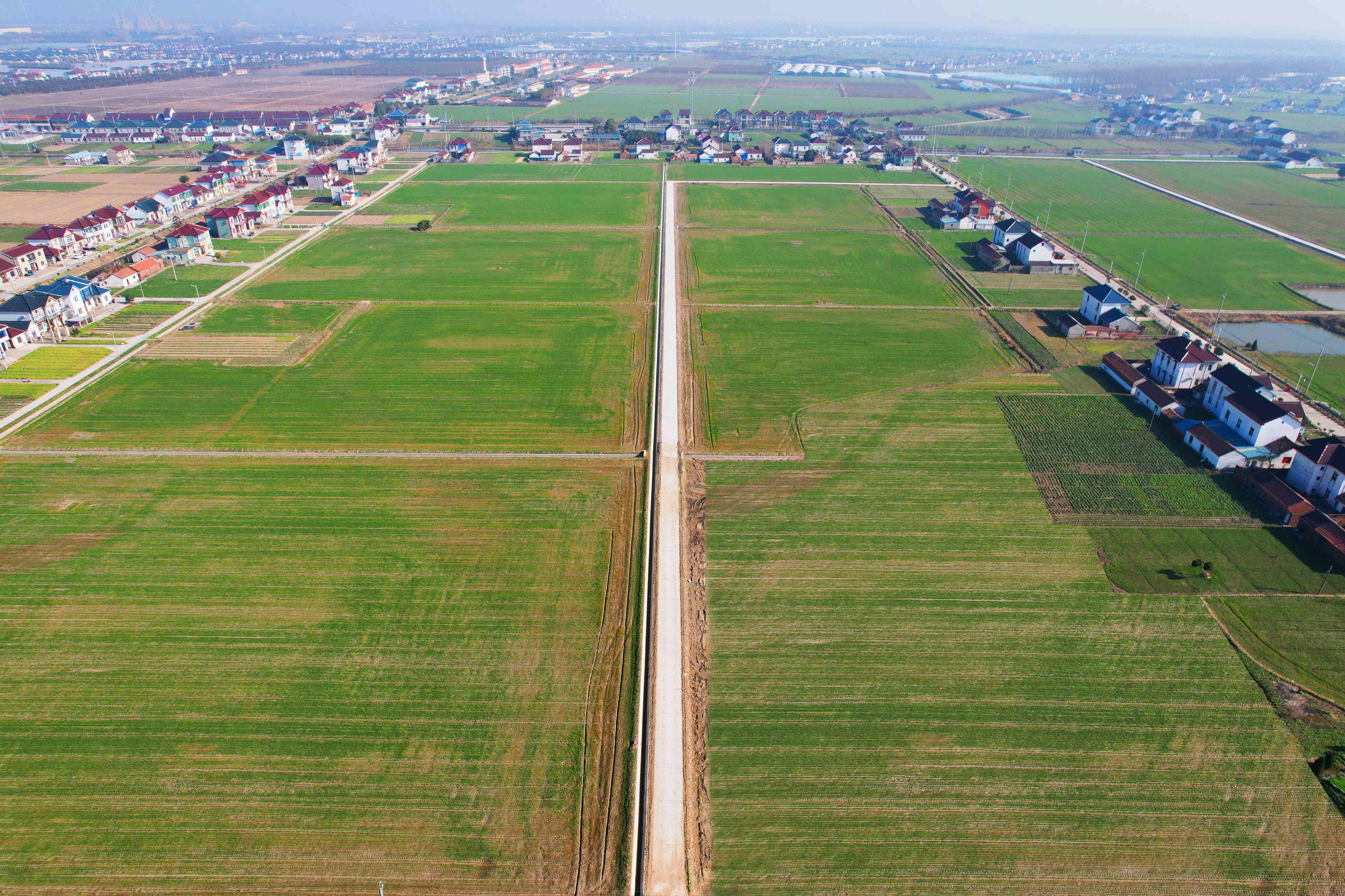 国土生态修复项目实施后的农田。