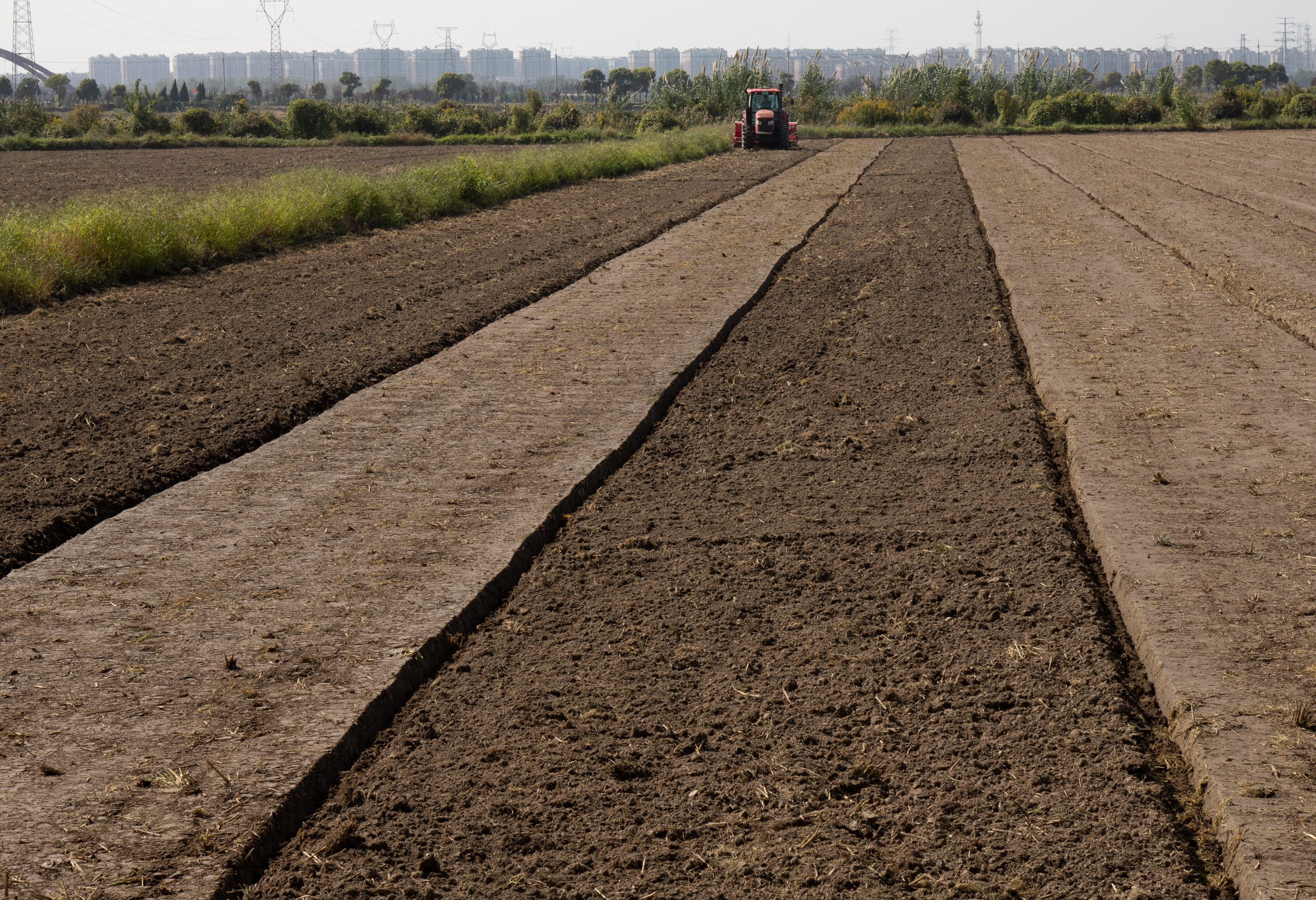 10月28日，崇川区现代农业产业区正在进行播种作业。黄哲 摄