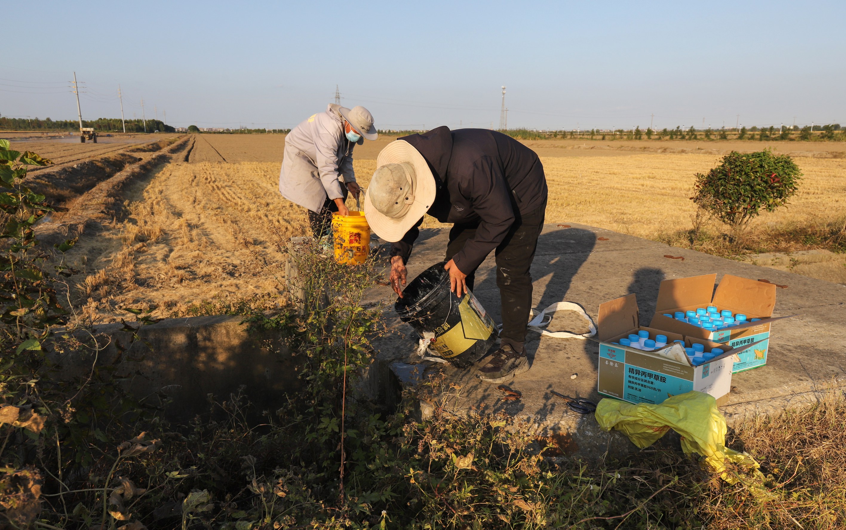 10月28日，在通州区金沙街道万亩粮田，正在进行土壤封闭处理。黄哲 摄