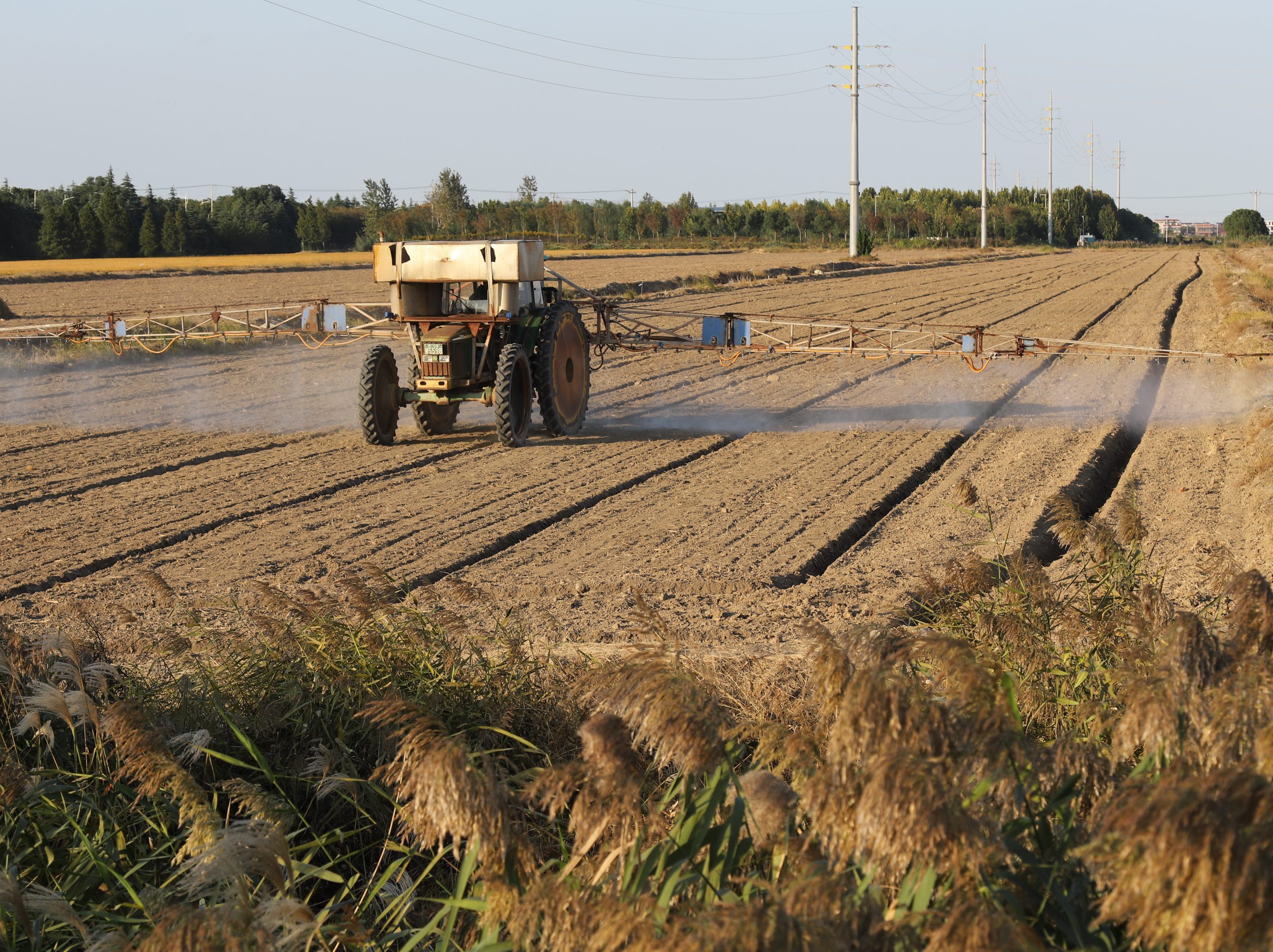 10月28日,在通州区金沙街道万亩粮田,正在进行农药喷洒作业。黄哲 摄
