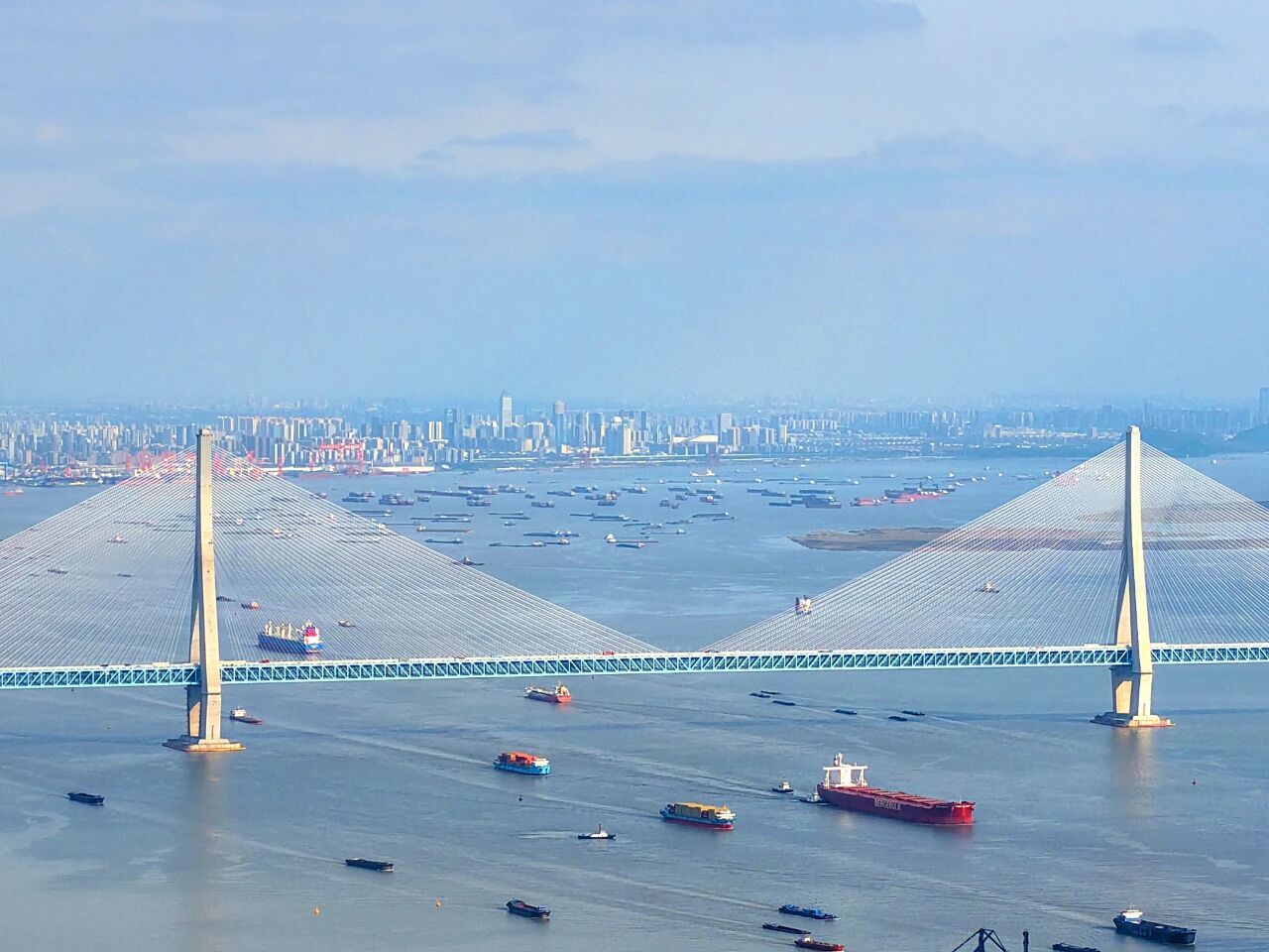 长江南通段百舸争流。许丛军 摄