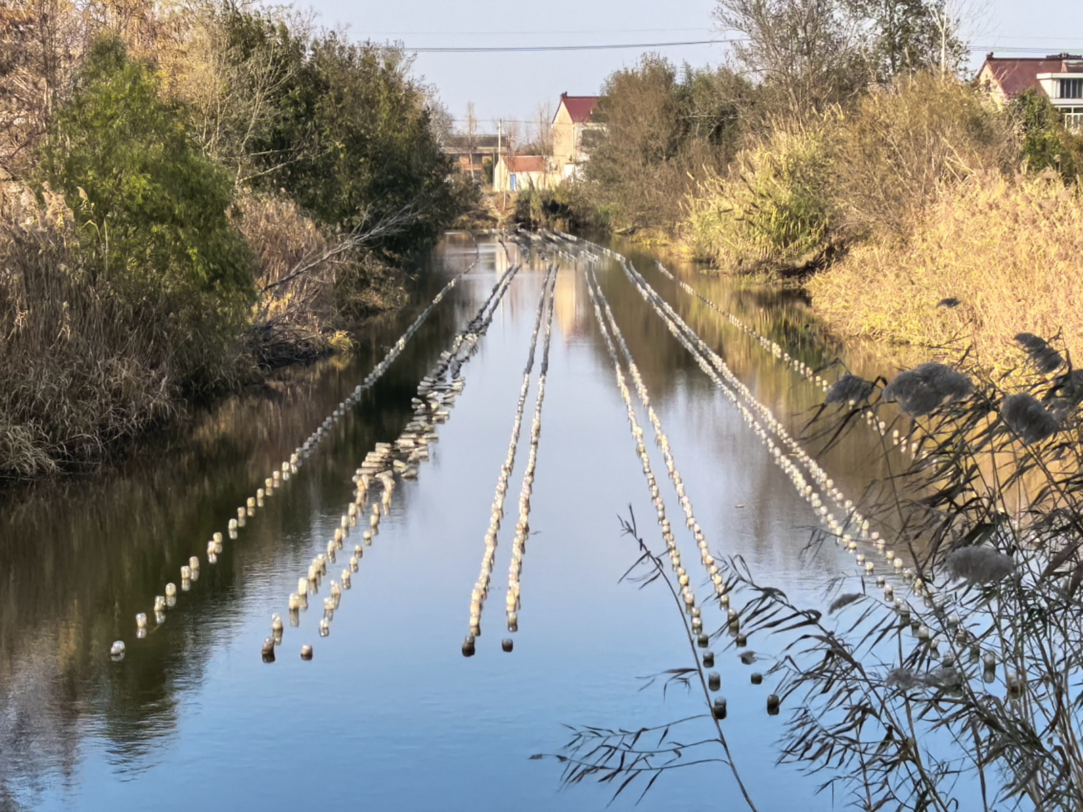 王颖 卢兆欣 摄
