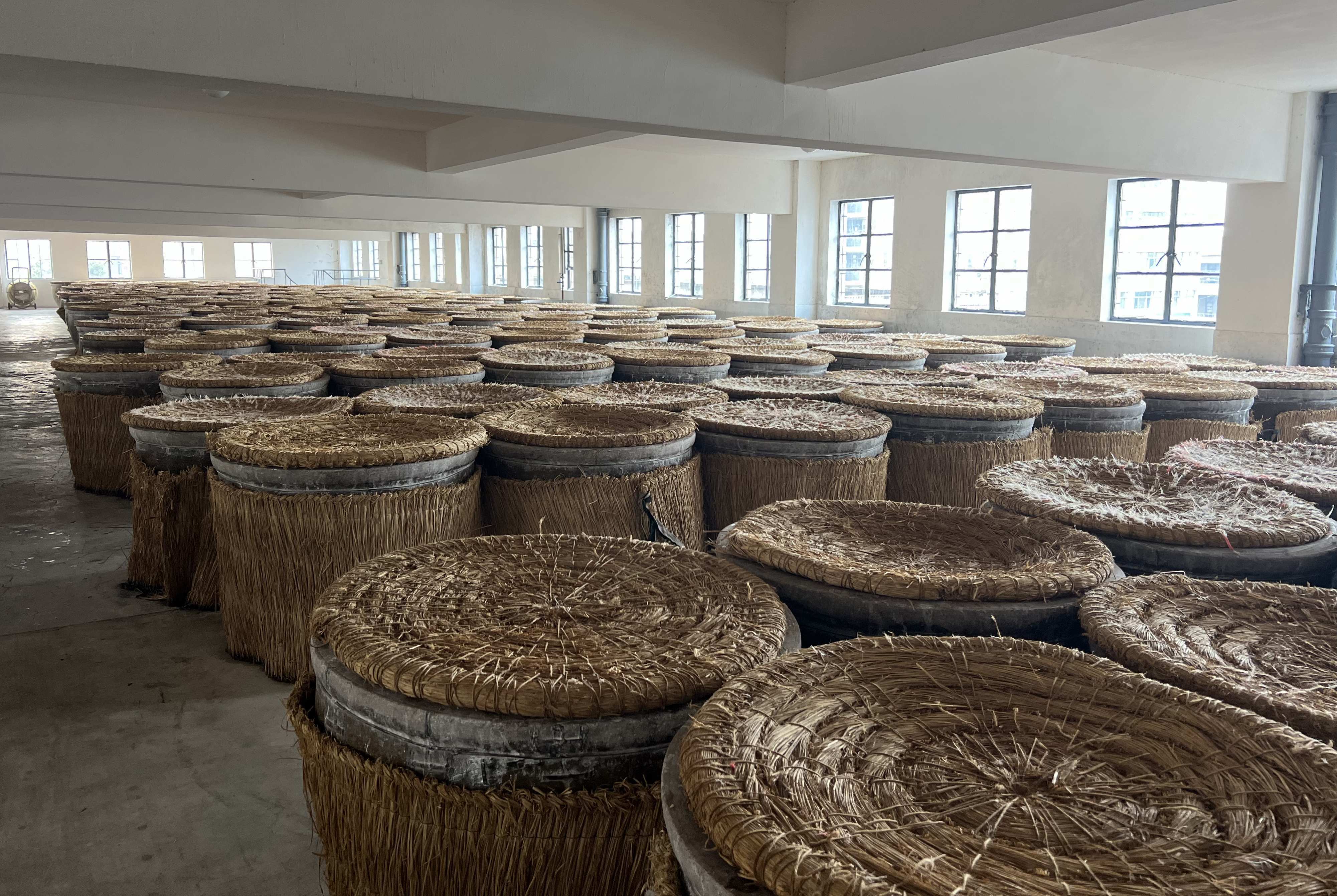 白蒲黄酒酿造车间