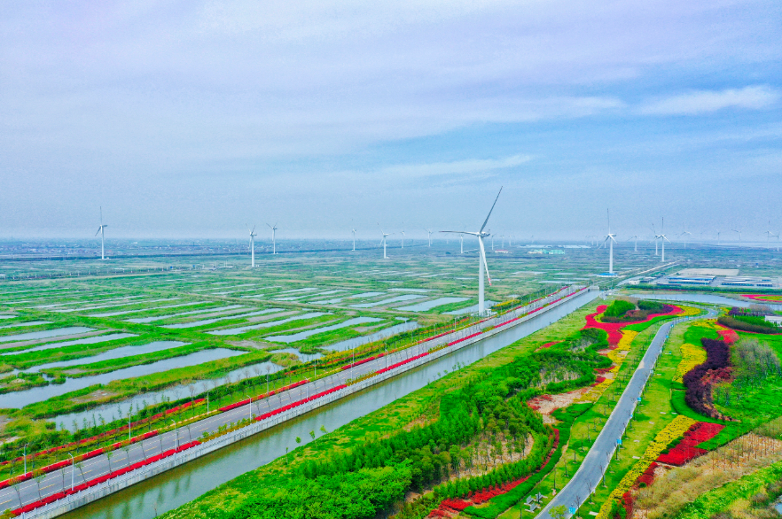沿海万亩虾蟹池塘 叶娟 摄