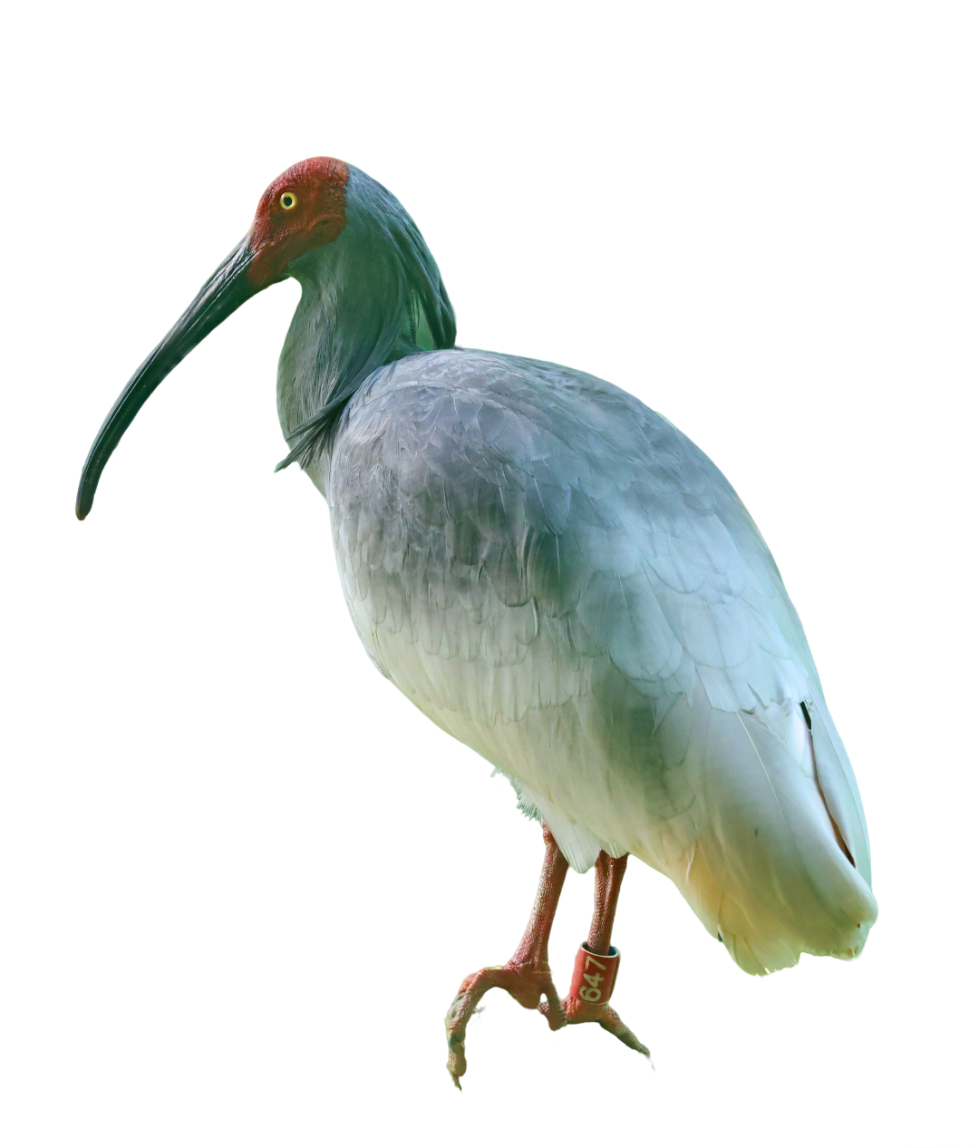 111.png