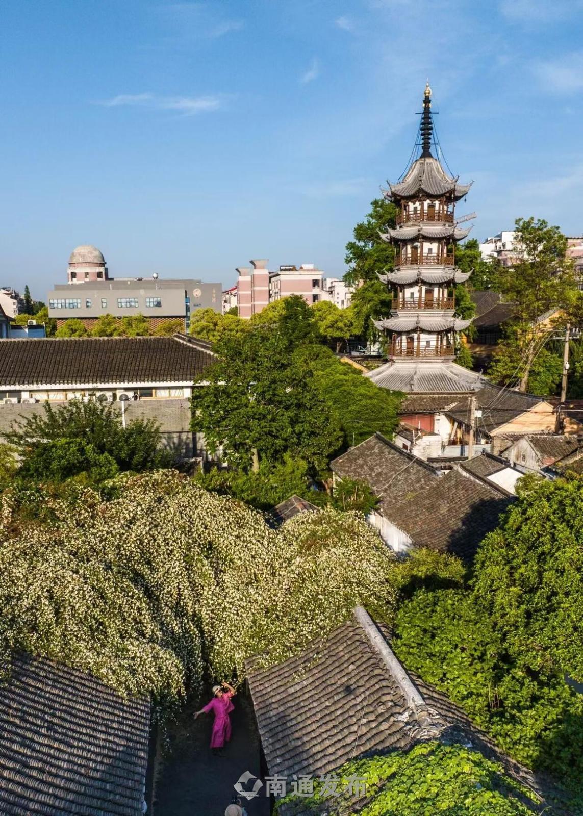 寺街的范氏老宅，游客在木香花下打卡.jpg