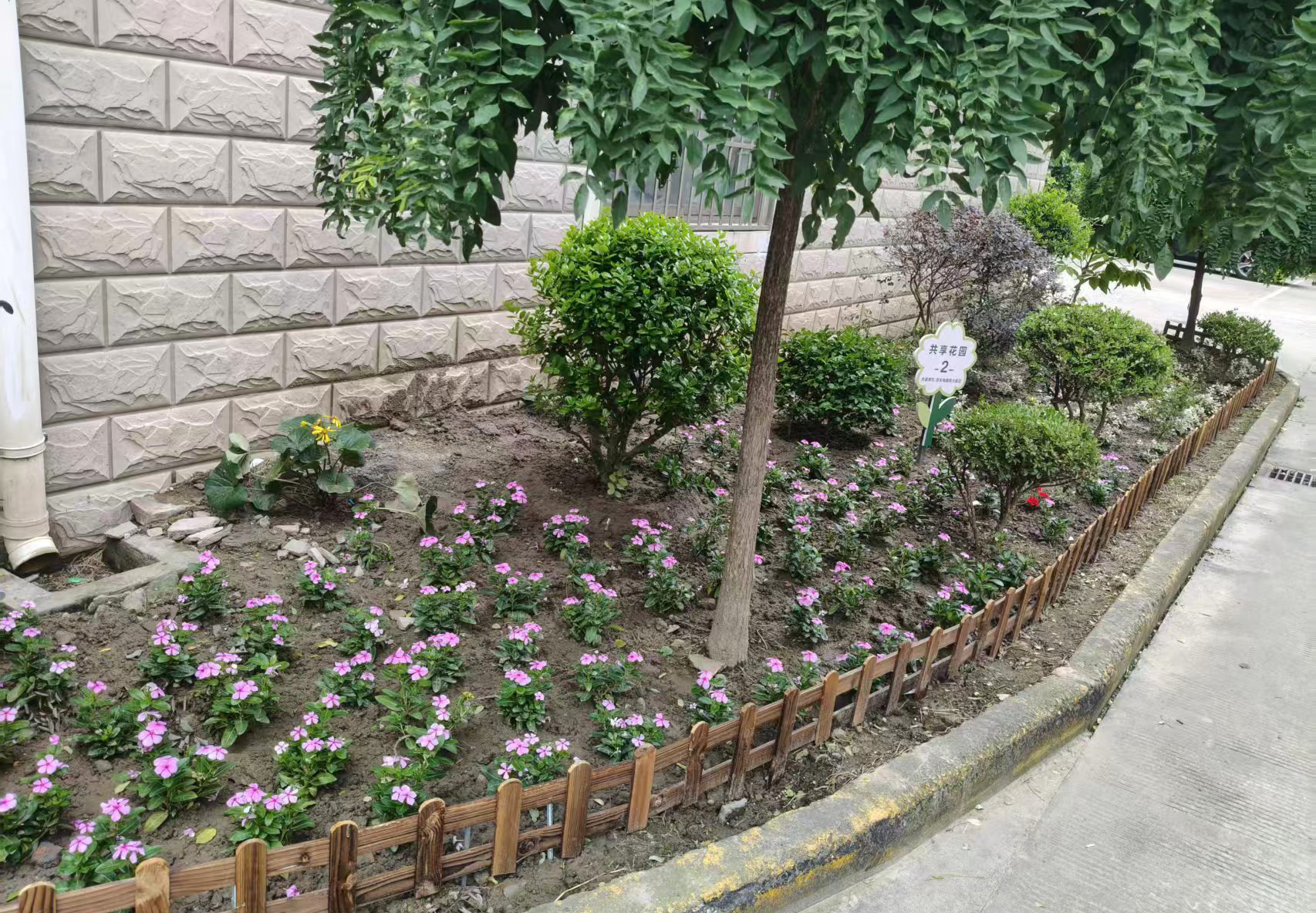 卢铖卉 摄