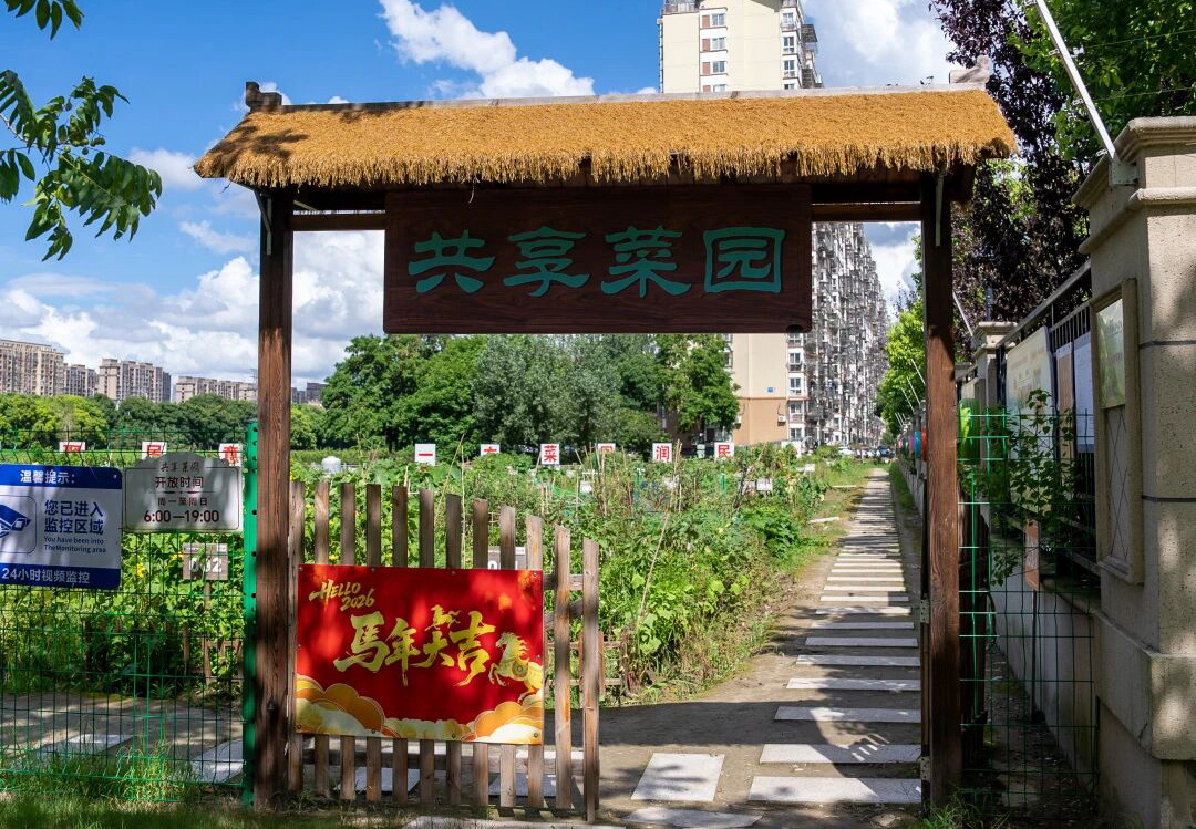 朱颖亮 刘思彤&nbsp;摄
