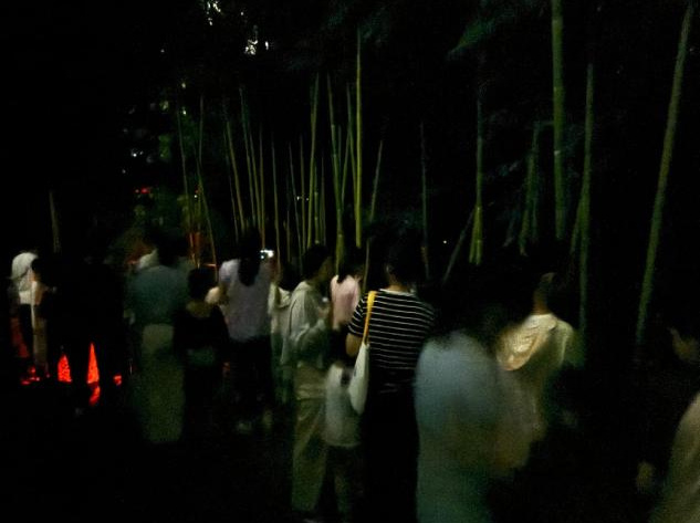 南通市生态环境局、南通市环境教育馆供图